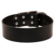 Extra Wide Leather Black Russian Terrier Collar for Professional Training