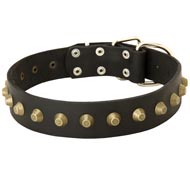 Leather Black Russian Terrier Collar with Brass Pyramids