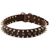 3 Rows Leather Spiked and Studded Black Russian Terrier Collar