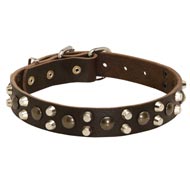 Leather Black Russian Terrier Collar With Studs and Pyramids