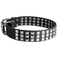 Leather Black Russian Terrier Collar with 3 Rows of Nickel Pyramids