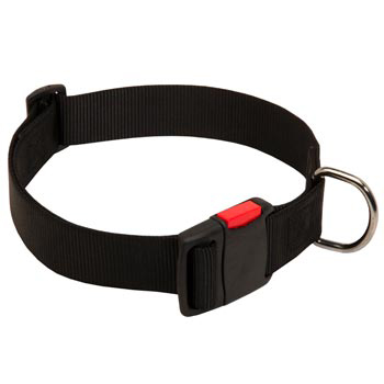 Nylon Black Russian Terrier Collar for Training and Waling