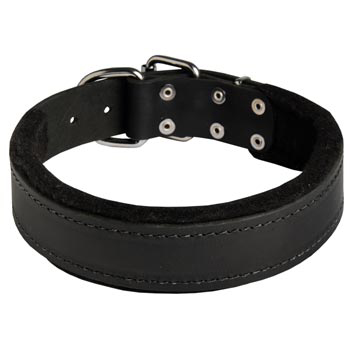 Adjustable Black Russian Terrier Collar