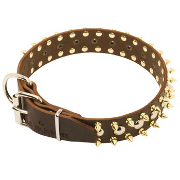 Leather Black Russian Terrier Collar with Rust-proof Decoration