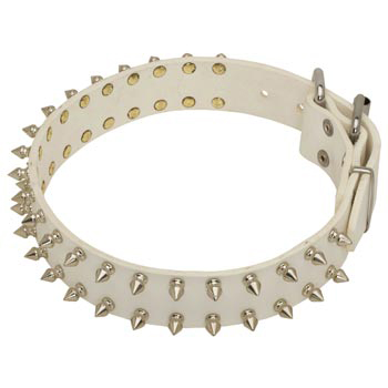 Spiked White Leather Collar for Black Russian Terrier Walking