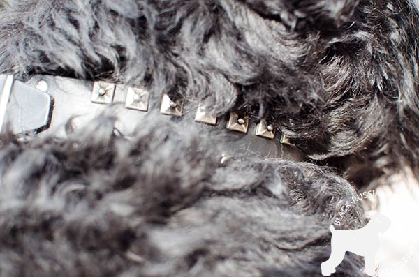 Caterpillar design studded Black Russian Terrier collar