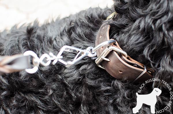 Black Russian Terrier collar with durable fittings