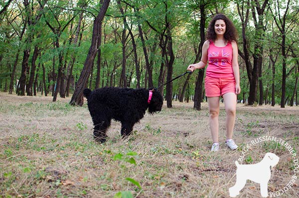 Black Russian Terrier natural leather collar for stylish pet