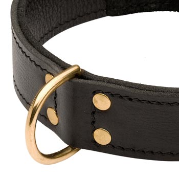 Brass D-ring Stitched to Leather Black Russian Terrier Collar