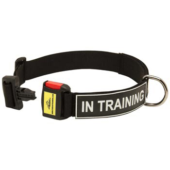 Nylon Dog Collar for Black Russian Terrier Police Training