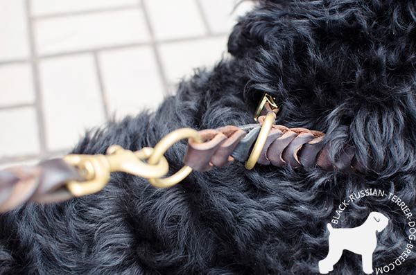 Black Russian Terrier brown leather collar of high quality with quick release buckle for improved control