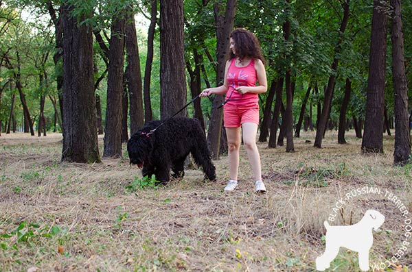 Black Russian Terrier pink leather collar with rustless hardware for perfect control