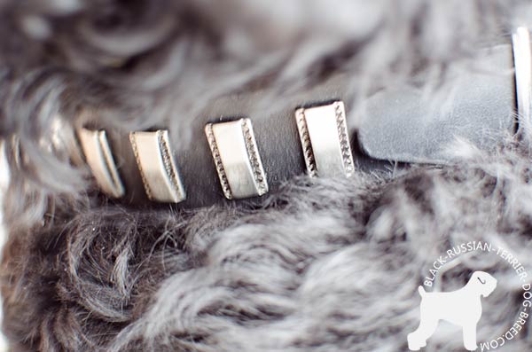 Black Russian Terrier brown leather collar with duly riveted plates for quality control