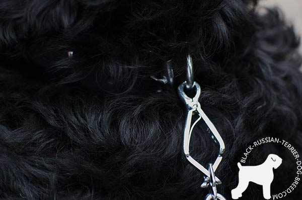 Black Russian Terrier leather-collar with rust-resistant fittings for utmost comfort