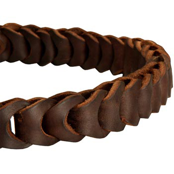 Black Russian Terrier Leather Choke Collar Braided 