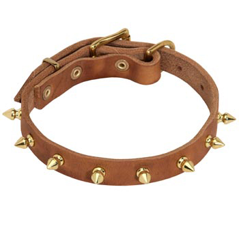 Designer Leather Collar for Black Russian Terrier