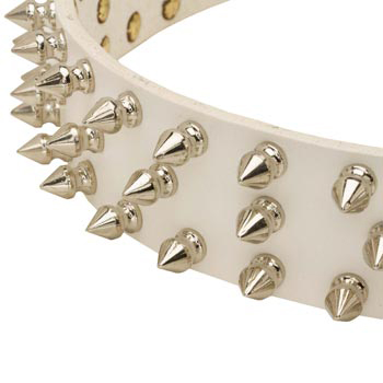 Spiked White Leather Collar for Black Russian Terrier Walking