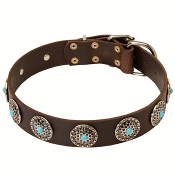 Leather Black Russian Terrier Collar