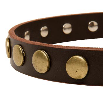 Designer Leather Dog Collar for Walking Black Russian Terrier