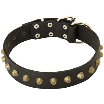 Leather Black Russian Terrier Collar