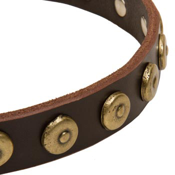 Black Russian Terrier Collar with Stylish Circles