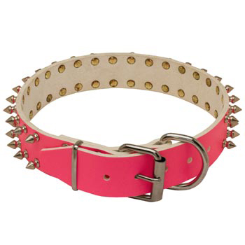 Designer Collar for Female Black Russian Terrier