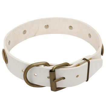 White Leather Dog Collar for Black Russian Terrier Stylish Walks