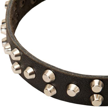 Leather Black Russian Terrier Collar Durable Stud Decorated