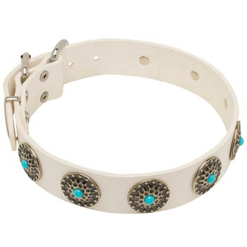Leather Dog Collar White Exclusive for   Black Russian Terrier Walking