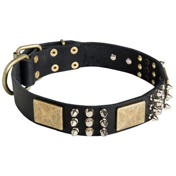 Stylish Wide Leather Dog Collar for Black Russian Terrier Walking