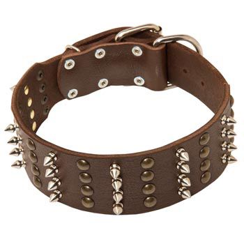 Leather Collar for Black Russian Terrier Walking in Style 