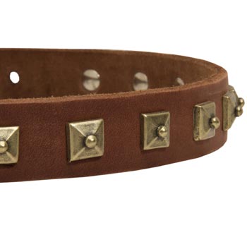 Black Russian Terrier Leather Collar With Square  Studs