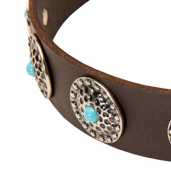 Blue-Stones Leather Black Russian Terrier Collar