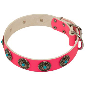 Safe Walking Leather   Black Russian Terrier Сollar Pink Studded