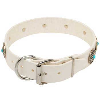 Leather   Black Russian Terrier Collar White Fancy for Dog Training, Walking