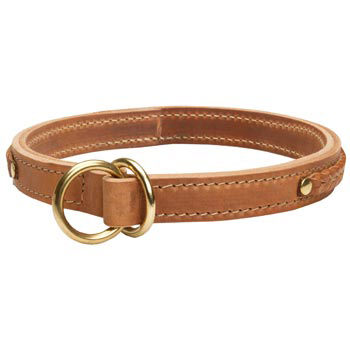  2 Ply Leather Choke Collar for Black Russian Terrier
