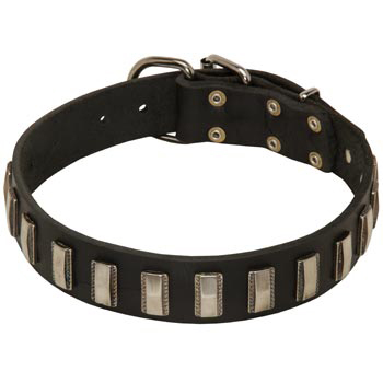Walking Leather Dog Collar for Black Russian Terrier