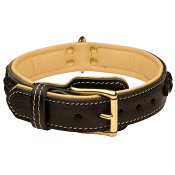 Black Russian Terrier Decorated  Leather Dog Collar