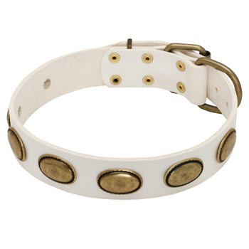 White Leather Black Russian Terrier Collar with Vintage Oval Plates