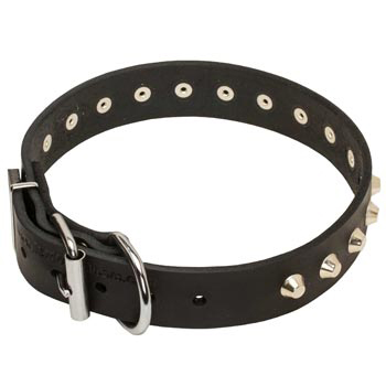 Training Walking Leather Dog Collar with Buckle for Black Russian Terrier