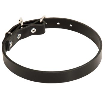 Leather Dog Collar for Black Russian Terrier Training