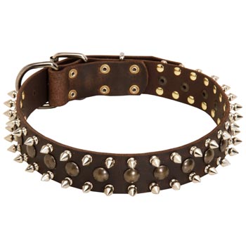 Black Russian Terrier Leather Collar with Stylish Decoration