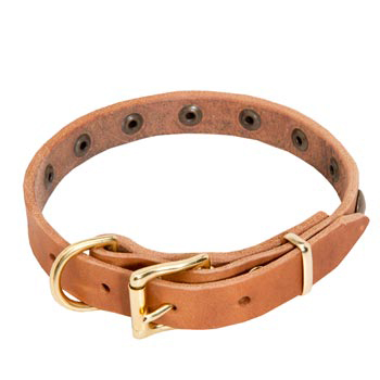 Black Russian Terrier Leather Collar with Studs