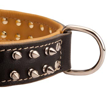 Padded Leather Black Russian Terrier Collar Spiked Adjustable for Training