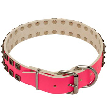 Black Russian Terrier Pink Leather Collar for Walking She-Dogs
