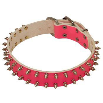 Spiked Pink Leather She-Dog Collar for Black Russian Terrier Walking