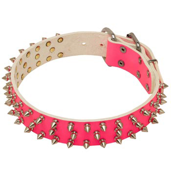 Pink Leather Collar for Black Russian Terrier She-Dogs