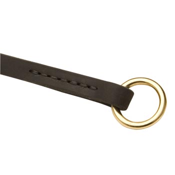  Leather Choke Collar for Black Russian Terrier Training