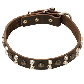 Leather Collar for Black Russian Terrier Stylish Walks