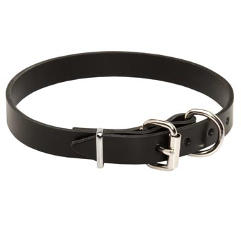 Black Russian Terrier Leather Dog Collar For Everyday Training
